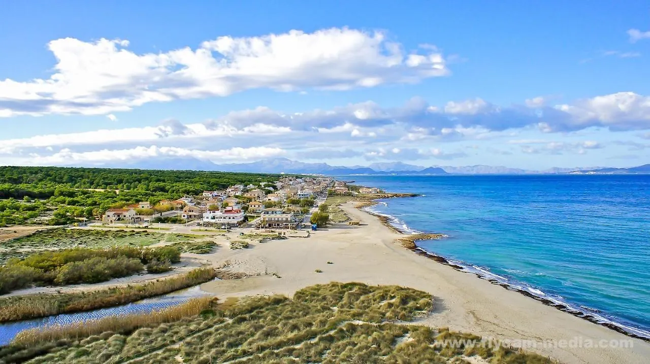 Country house Ideal Property Mallorca - El Palmeral Petra