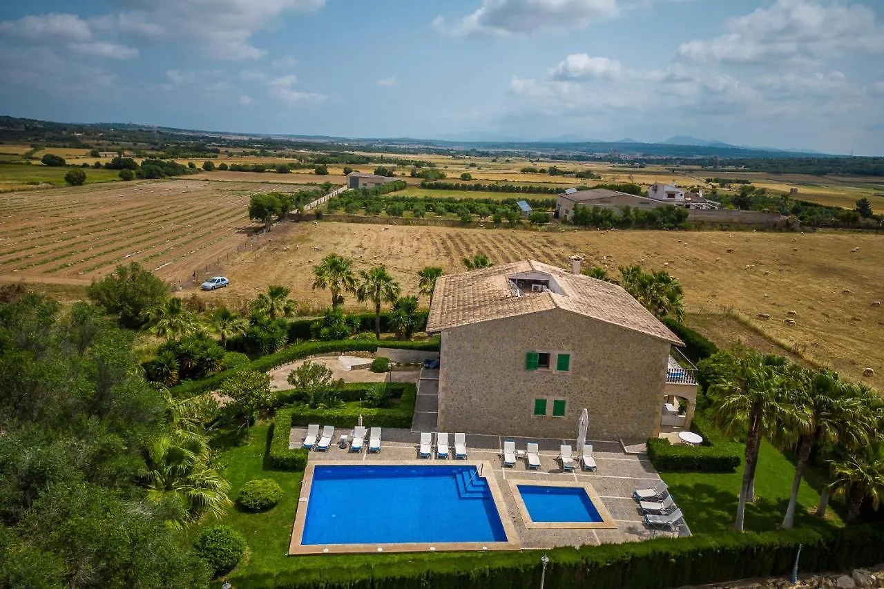 Ideal Property Mallorca - El Palmeral Petra  0*, Petra (Mallorca) Spain