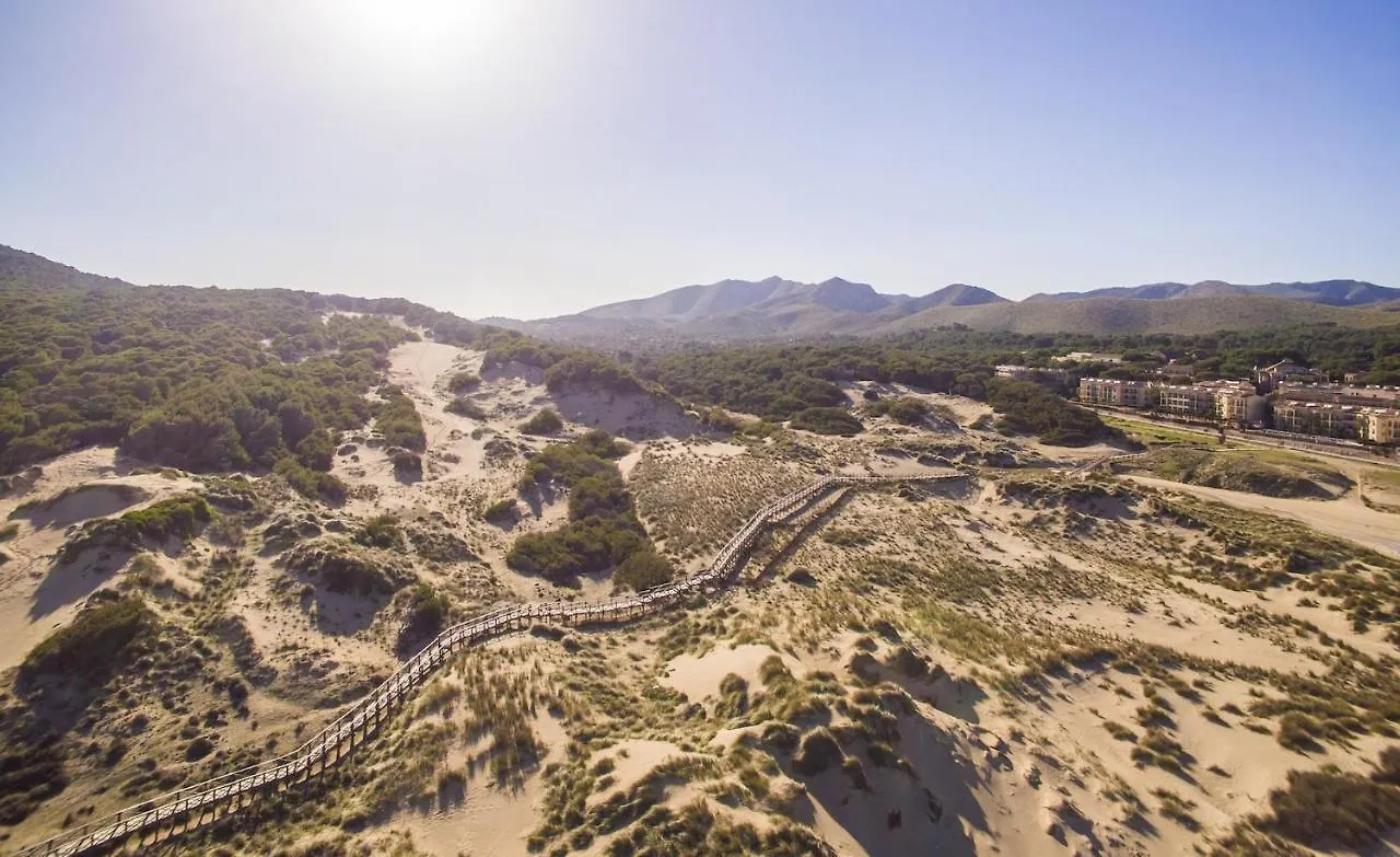 Ideal Property Mallorca - El Palmeral Petra  Petra (Mallorca)